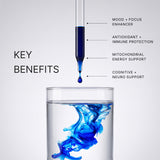 Methylene Blue