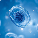 BIOEN MindArchitect